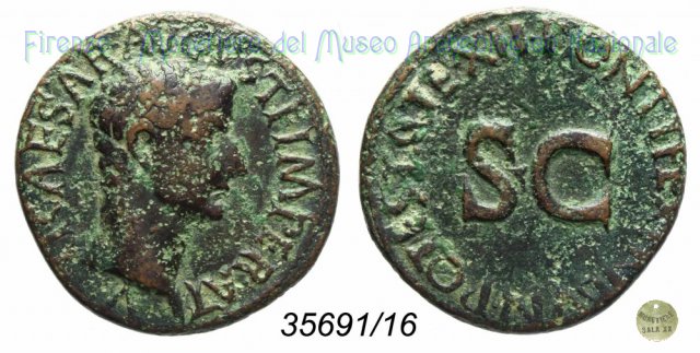 TI CAESAR AVGVST F IMPERAT V - Ric. 469 10-11 d.C. (Roma)