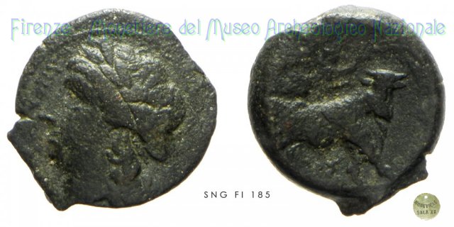 AE_Serie Apollo-Toro androprosopo 265-240 a.C. (Compulteria)