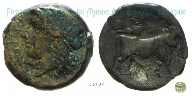 AE_Serie Apollo-Toro androprosopo 265-240 a.C. (Compulteria)