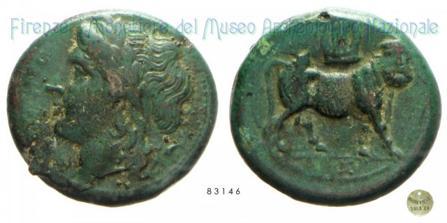 AE_Serie Apollo a sinistra-Toro androprosopo 265-240 a.C. (Cales)