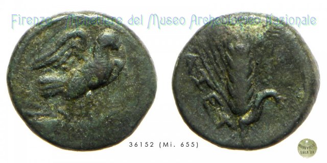 AE_Serie Aquila-Spiga di grano 300-275 a.C. (Azetium)