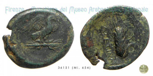 AE_Serie Aquila-Spiga di grano 300-275 a.C. (Azetium)