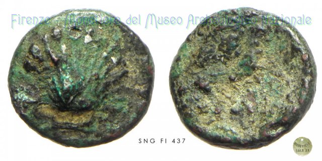 AE_Serie Conchiglia - Aquila ad ali aperte 250-225 a.C. (Graxa)