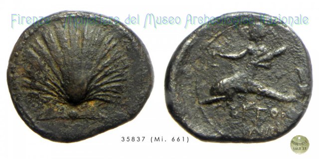 AE_Serie Conchiglia-Giovane su delfino 275-225 a.C. (Butuntum)