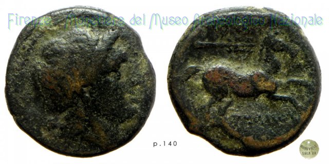 AE_Serie Testa di Apollo - Cavallo libero 225-210 a.C. (Salapia)