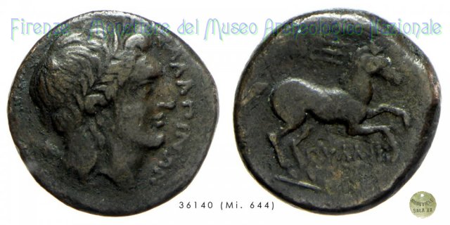 AE_Serie Testa di Apollo - Cavallo libero 225-210 a.C. (Salapia)