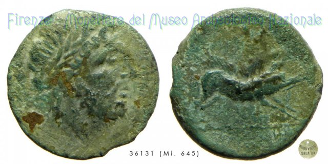 AE_Serie Testa di Zeus - Cinghiale in corsa 225-210 a.C. (Salapia)