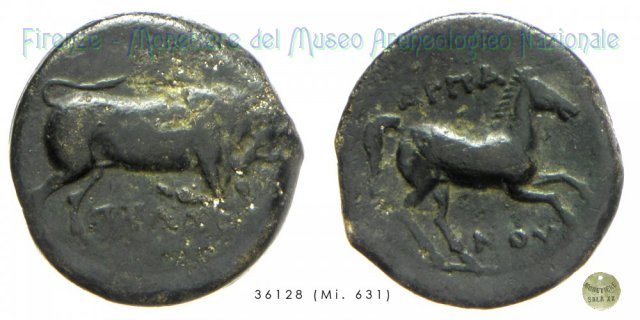 AE_Serie Toro cozzante-Cavallo sciolto 275-250 a.C. (Arpi)