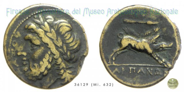 AE_Serie Zeus-Cinghiale 300-275 a.C. (Arpi)