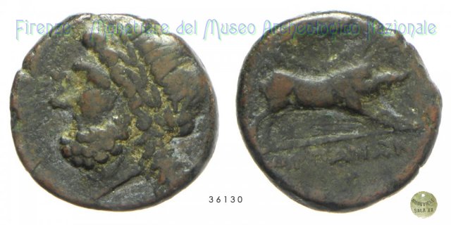 AE_Serie Zeus-Cinghiale 300-275 a.C. (Arpi)