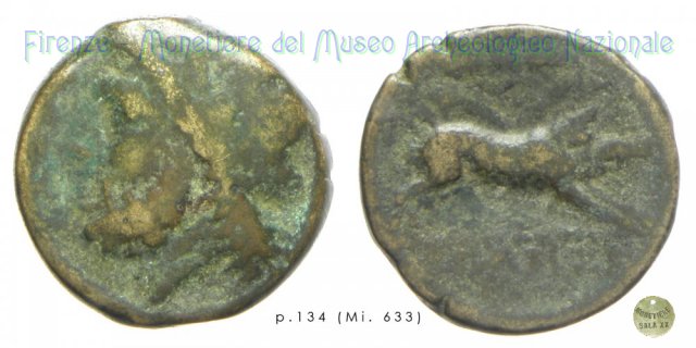 AE_Serie Zeus-Cinghiale 300-275 a.C. (Arpi)