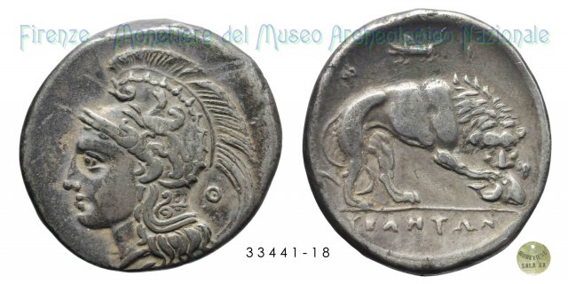 Athena-Grifone_Leone a destra (Periodo VII) 300-280 a.C. (Velia)