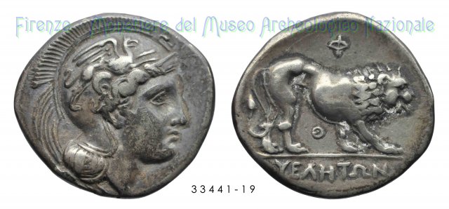 Athena-Grifone_Leone a destra (Periodo V) 340-334 a.C. (Velia)