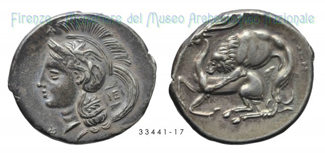 Athena-Pegaso_Leone azzanna cervo (Periodo IX) 300-280 a.C. (Velia)