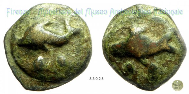 Biuncia 275-225 a.C. (Venusia)