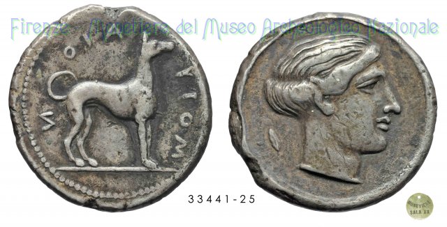 Cane stante a destra_Testa di ninfa a destra 415-410 a.C. (Motya)