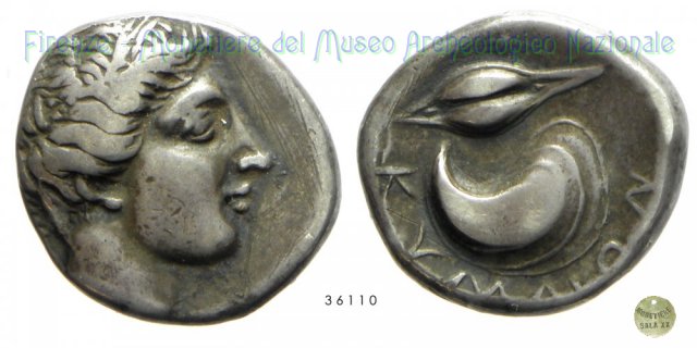 Didracma_Testa femminile-Cozza e chicco di grano 450-423 a.C. (Cuma)