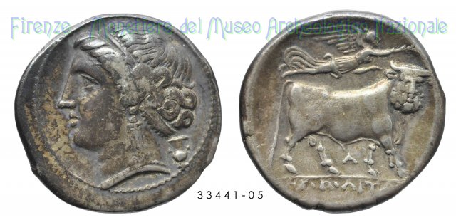 Didracma_Testa fem. a sin.-Toro adroprosopo a des. 325-241 a.C. (Neapolis)