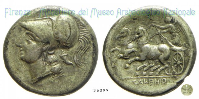 Didracma 334-268 a.C. (Cales)