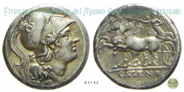 Didracma 334-268 a.C. (Cales)