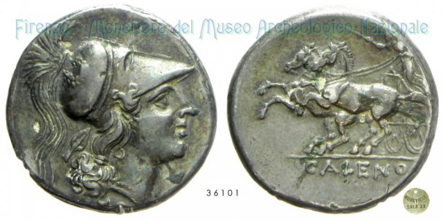 Didracma 334-268 a.C. (Cales)