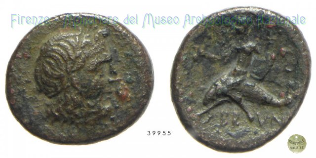 Semuncia_Serie giovane delfiniere con kantaros 215-214 a.C. (Brundisium)