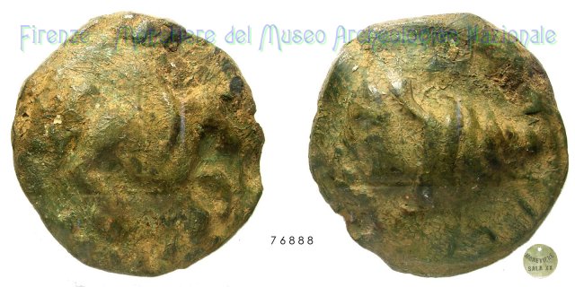 Seria Pegaso - Testa femminile in conchiglia 275-225 a.C. (Hatria)