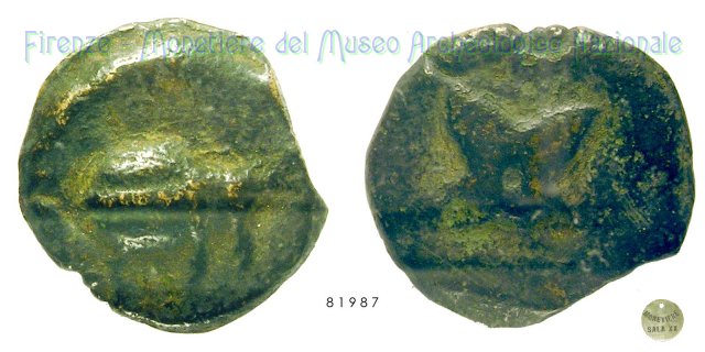 Serie Scarabeo - Fiore 280-260 a.C. (Incerta Centro Italia)