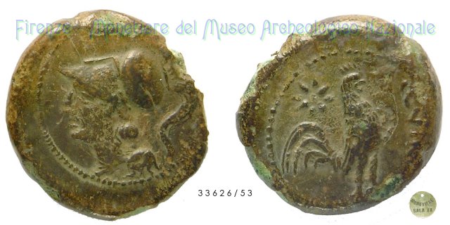 Serie Testa di Atena - Gallo 265-240 a.C. (Aquinum)