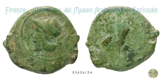 Serie Testa di Atena - Gallo 265-240 a.C. (Aquinum)