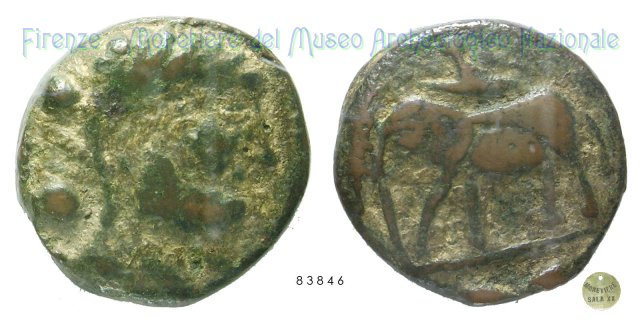 Serie Testa di Eracle - Elefante 216-213 a.C. (Incerta Centro Italia)