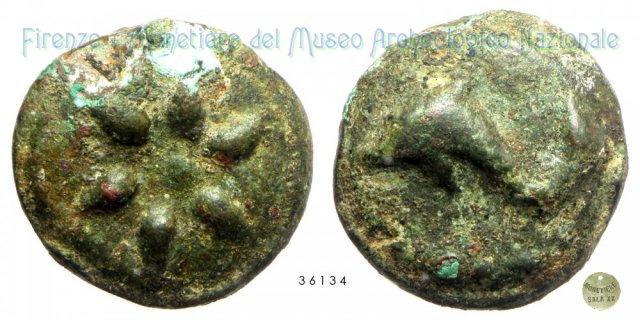 Teruncia 225-217 a.C. (Luceria)