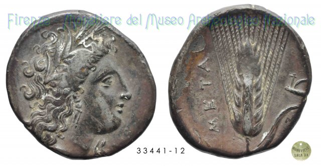 Testa di Demetra a destra_Spiga di grano 330-290 a.C. (Metapontion)