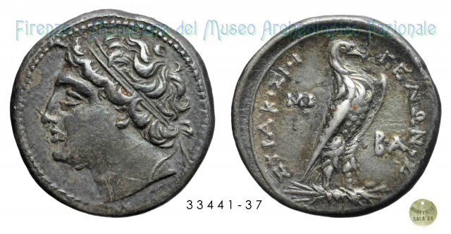 Testa di Gelone a sinistra_Aquila stante a destra 218-214 a.C. (Syracusae)