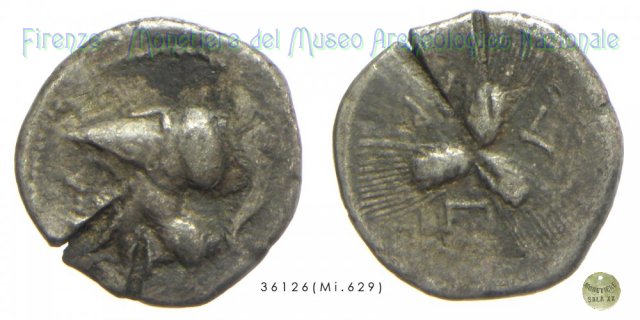 Triobolo 215-212 a.C. (Arpi)