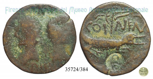 COL- NEM / RIC155 20-10 a.C. (Nemausus)