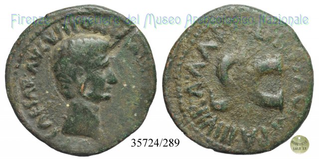 P LVRIVS AGRIPPA IIIVIR AAAFF S C / RIC 427 7 a.C. (Roma)