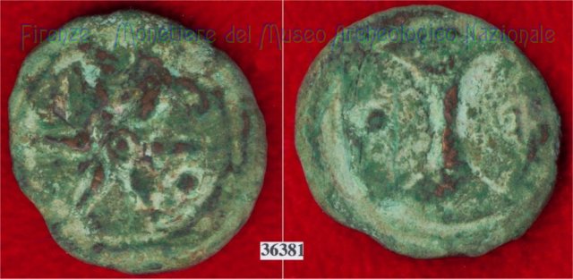 Ruota a 6 raggi / Bipenne - digamma (HN Italy 59) 299-200 a.C. (Etruria Sett. Interna)