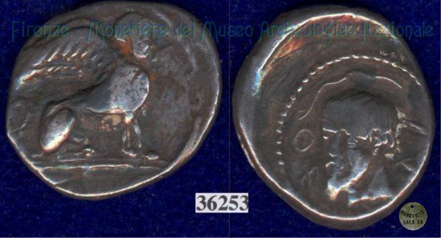 Sfinge / testa maschile (HN Italy 209) 375-350 a.C. (Volci)