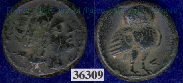 Testa di Aplu / Civetta (HN Italy 74) 268 a.C. (Val di Chiana)