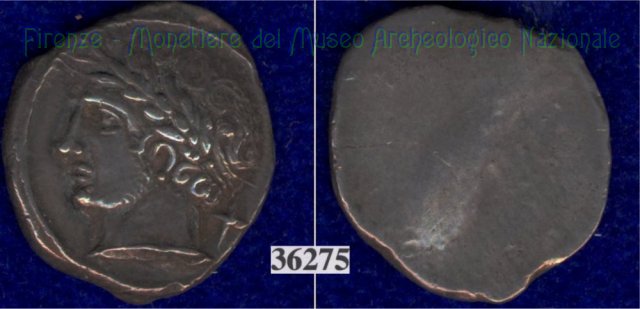 Testa di Aplu / senza tipo (HN Italy 168) 400 a.C. (Pupluna)