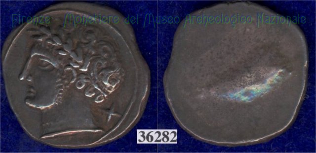 Testa di Aplu / senza tipo (HN Italy 168) 400 a.C. (Pupluna)