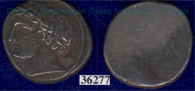 Testa di Aplu / senza tipo (HN Italy 168) 400 a.C. (Pupluna)