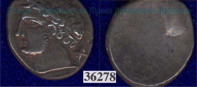 Testa di Aplu / senza tipo (HN Italy 168) 400 a.C. (Pupluna)