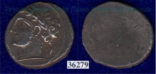 Testa di Aplu / senza tipo (HN Italy 168) 400 a.C. (Pupluna)