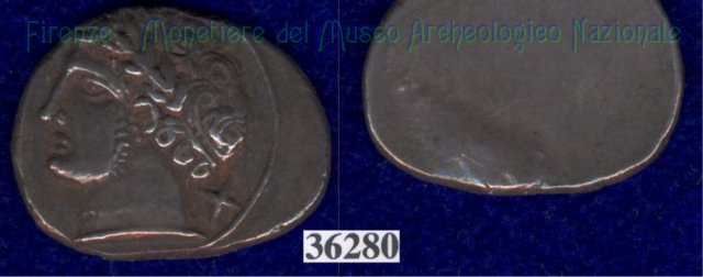 Testa di Aplu / senza tipo (HN Italy 168) 400 a.C. (Pupluna)