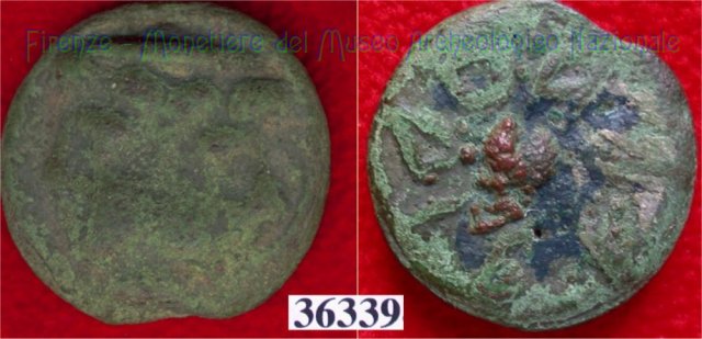 Testa di Culsans / segno di valore (HN Italy 108g) 299-200 a.C. (Velathri)