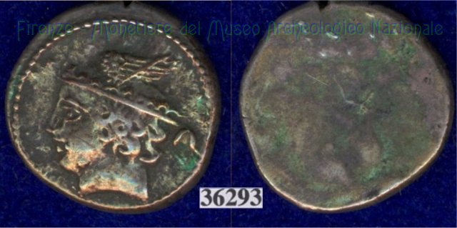 Testa di Turms / senza tipo (HN Italy 123) 400 a.C. (Pupluna)