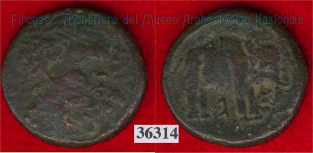 Testa di negro / Elefante - digamma (HN Italy 69) 299-200 a.C. (Val di Chiana)