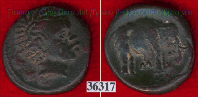 Testa di negro / Elefante - sigma (HN Italy 69) 299-200 a.C. (Val di Chiana)